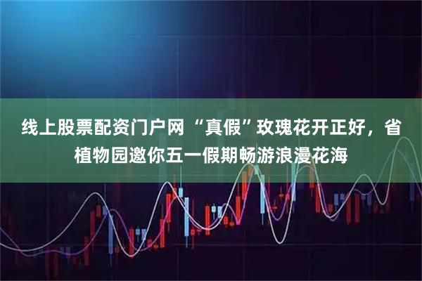 线上股票配资门户网 “真假”玫瑰花开正好，省植物园邀你五一假期畅游浪漫花海