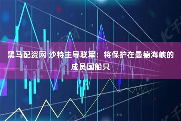 黑马配资网 沙特主导联军：将保护在曼德海峡的成员国船只